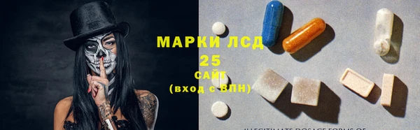стафф Арсеньев
