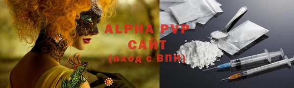 стафф Арсеньев
