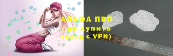 стафф Арсеньев
