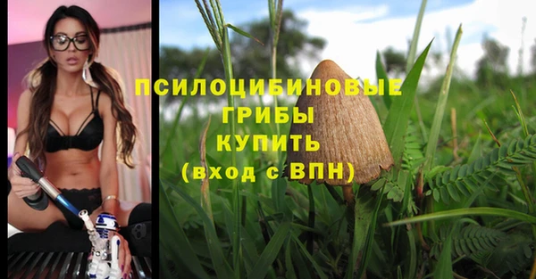 МДПВ Аркадак