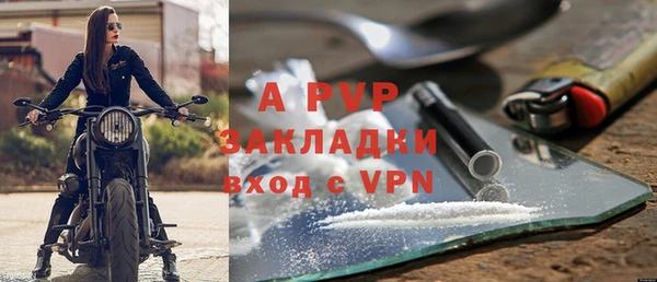 стафф Арсеньев