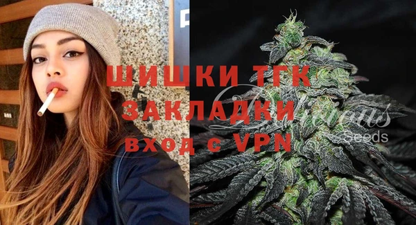 стафф Арсеньев