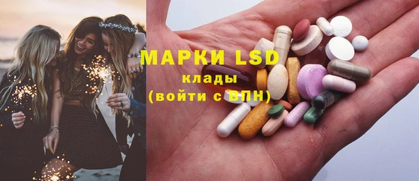 стафф Арсеньев