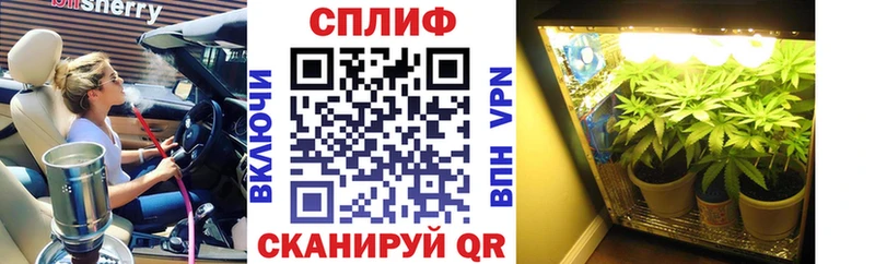 hydra онион  Сегежа  Каннабис THC 21% 